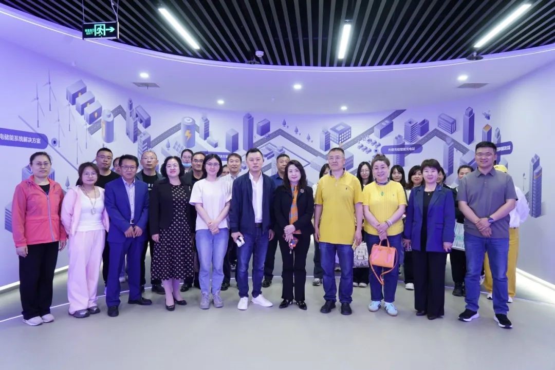 xc sports(中国区)-官方网站